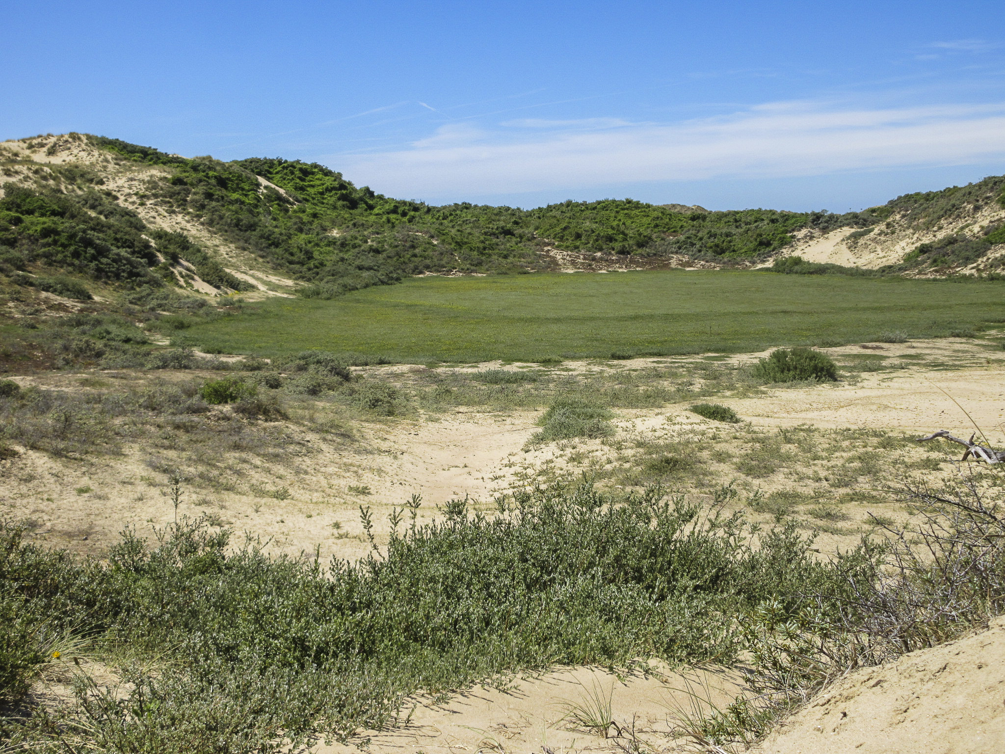 duinen